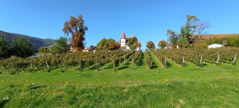 Grésy sur Aix (Savoie) : Château Brachet
