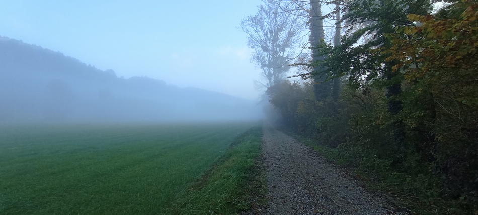 Brumes et Brouillards matinaux sur la voie verte dite Via Chartreuse sur Via-Cinq-lacs ?