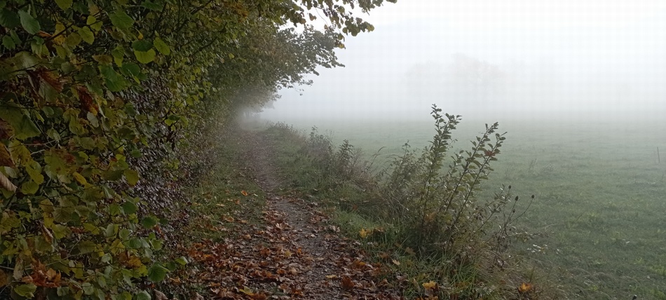 Passage scabreux dans le vallée de l'Herrétang