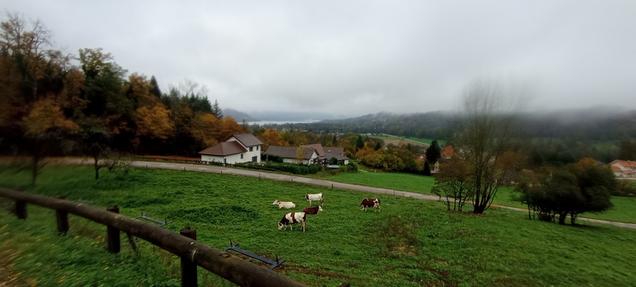 Descente dans la combe du lac d'Aiguebelette