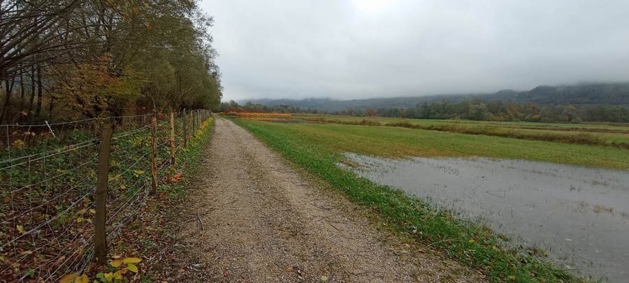 Sur la Via-Cinq-lacs en direction de saint Joseph de .. Rivière