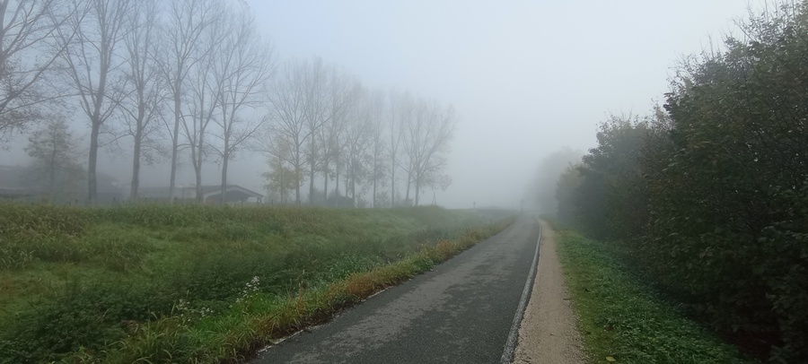 la vélo-route dite V-63 le long de l'Isère : dans la brume automnale : confère un instant magique