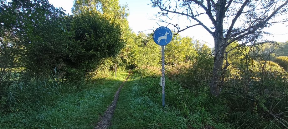 Chiens interdits dans le marais, mais quid des bicyclettes ? Allons Zy quand même ..
