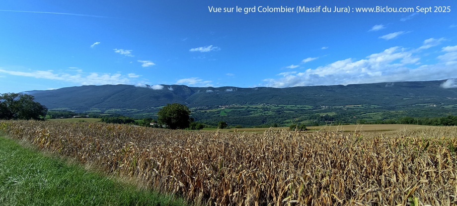 Vue sur le Grand Colombier (Massif du Jura) depuis Clarafond (Haute savoie)