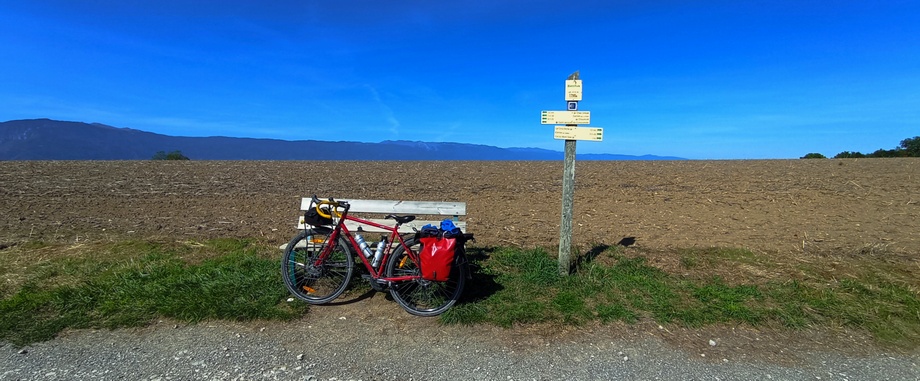 Sur le chemin de Compostelle : Bacchus (Cernex)