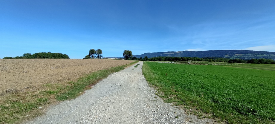 Sur le plateau de Bacchus (Cernex, haute savoie) vue sur le Salève
