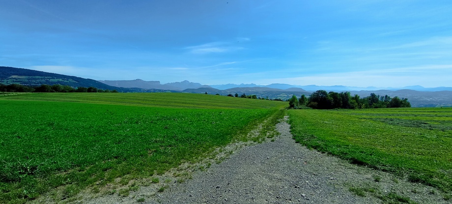 Sur le plateau (Bacchus) Direction EST ; vue endorphinatoire sur les Bornes, les Bauges