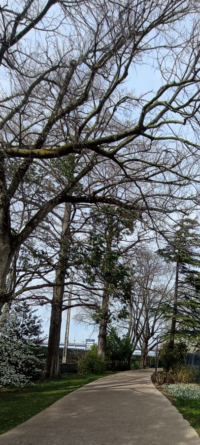 Valence ; ViaRhôna par le parc Jouvet