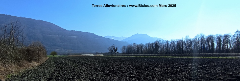 Terres Alluvionaires en Grésivaudan en vue de Belledonne