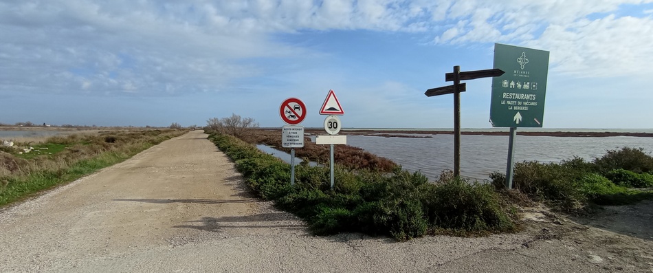 Chemin le long du Vaccarès