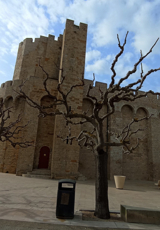 Eglise de saintes maries de la mer