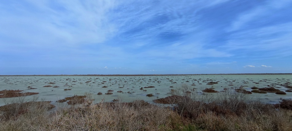 Etang de Fangassier