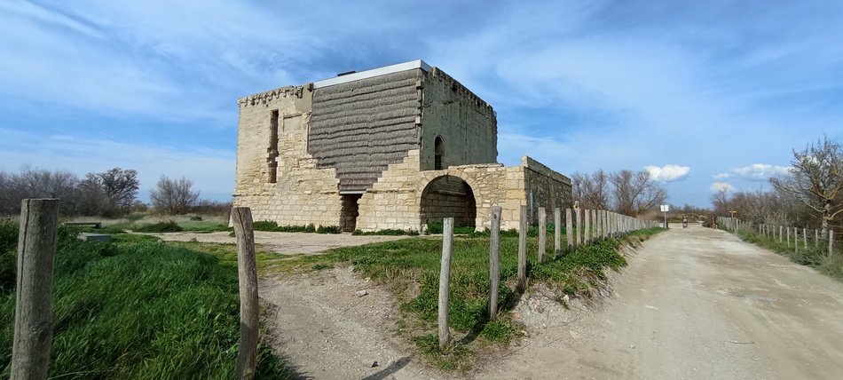En remontant Vers Salin de Giraud ..