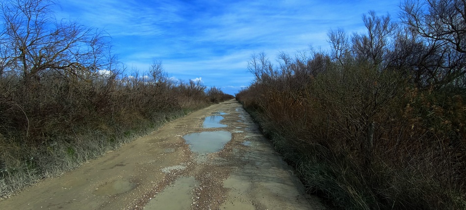 En remontant vers Salin de Giraud : route défoncée