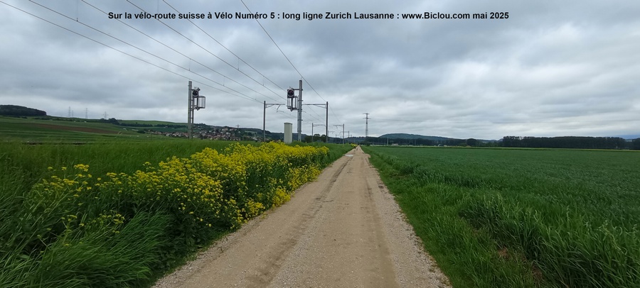 Sur la vélo-route dite 5 de la suisse à Vélo : Mai 2025