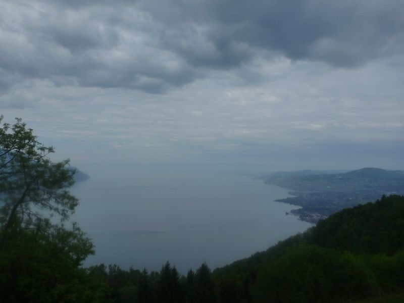 La vue sur le Léman de Sonchaux
