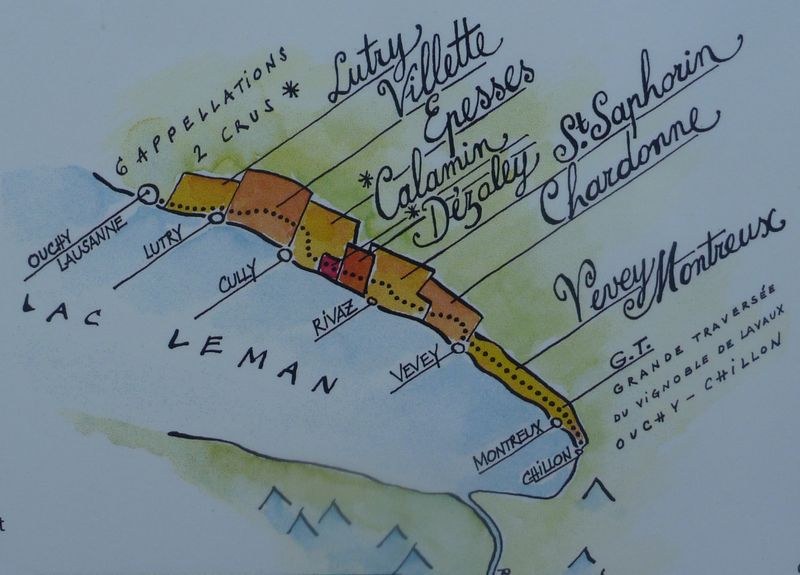 Grande traversée du domaine de Lavaux