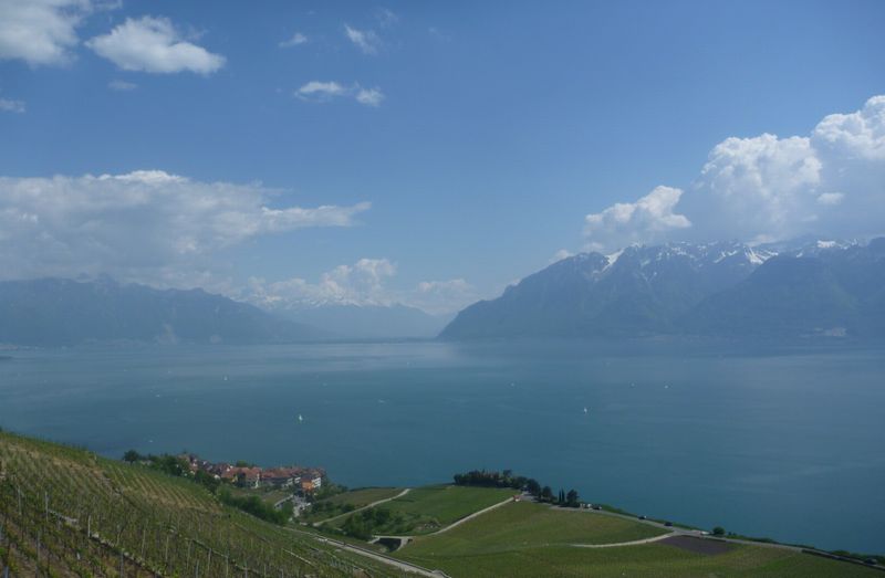 Vue sur le Léman depuis Lavaux