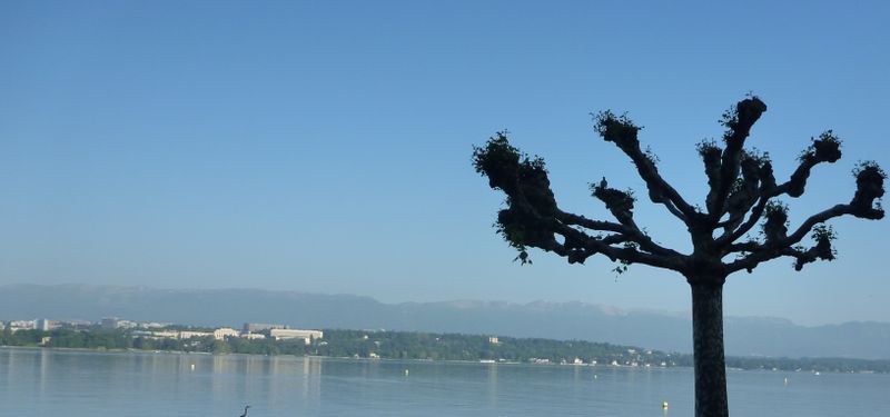Le lac léman vue de la rade et du quai Gustave Ador, et le jura dans le fond 
