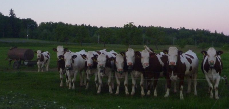 Les filles au départ de Bière en 2010 : allez les Montbéliardes