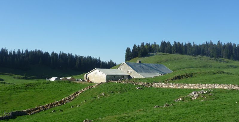 Ferme de la Combe des Amburnex en 2010
