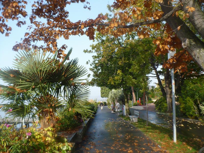 Montreux côté jardin