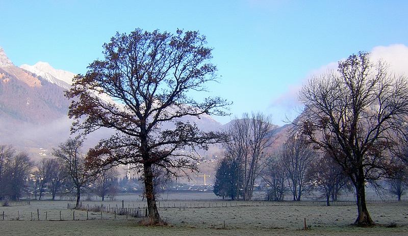 La plaine de cons saintes colombe en 2004