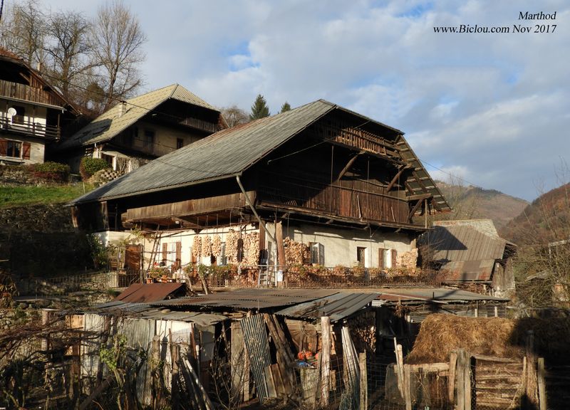 Ferme à Marthod dessous