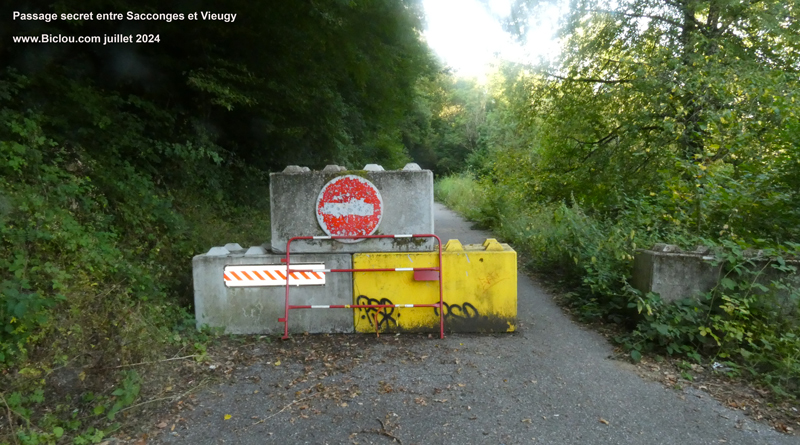 acces-confidentiel-sacconges-vieugy-haute-savoie