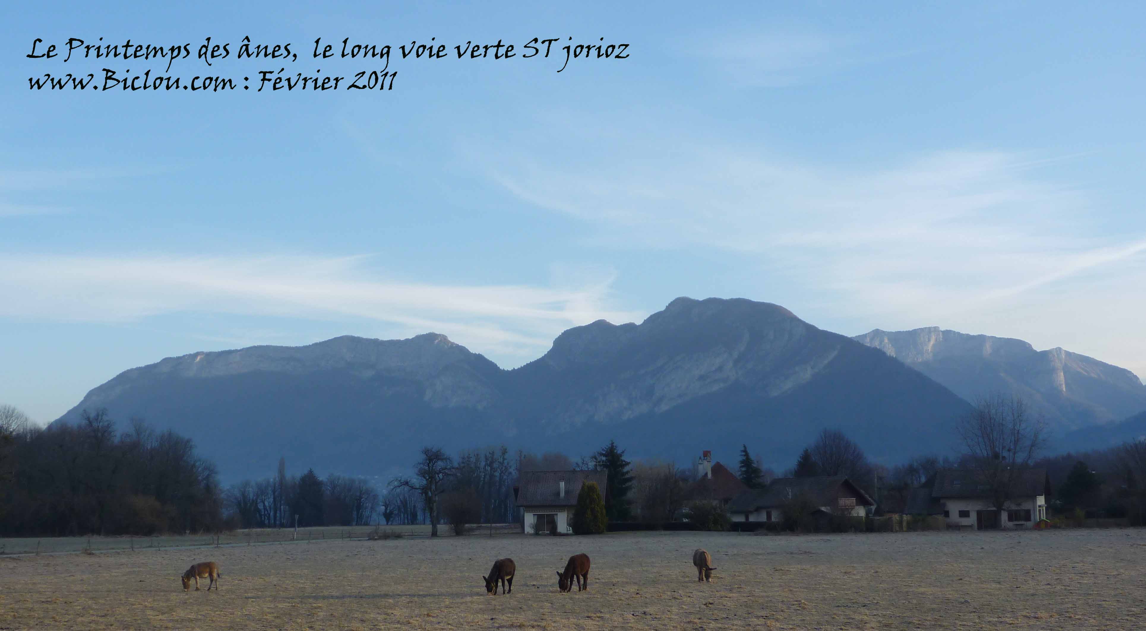 Les-anes-de-saint-jorioz-pas-froidtitle=Les-anes-de-saint-jorioz-pas-froid