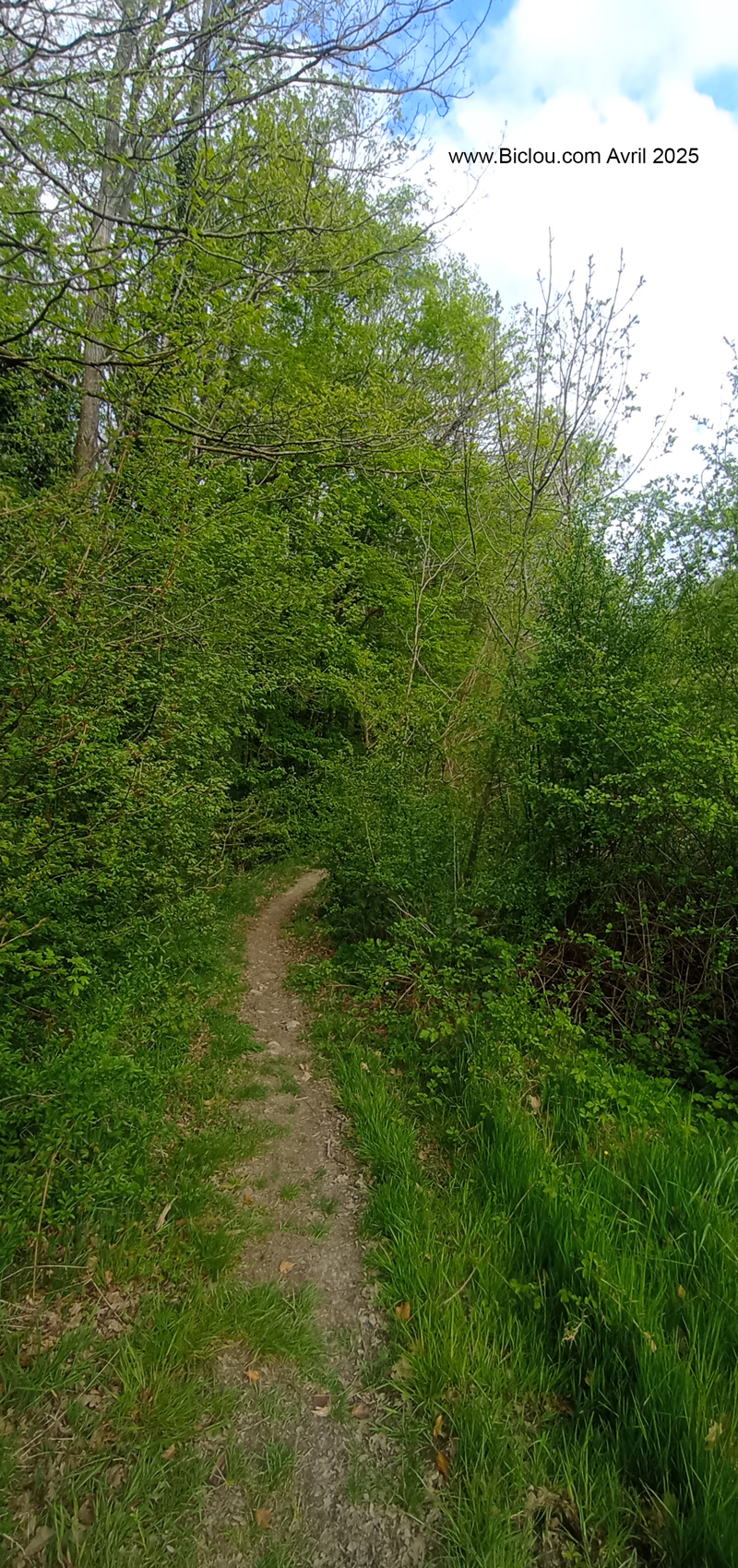 on-s-enfile-en-tout-bien-tout-honneur-dans-ce-bois-long-chemin-de-fer-viry