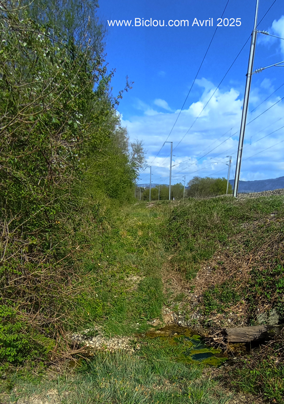 recherche-velo-route-viarhona-bis-haute-savoie-fait-plouf