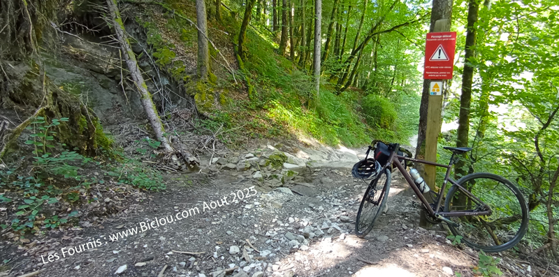 velo-les-fournis