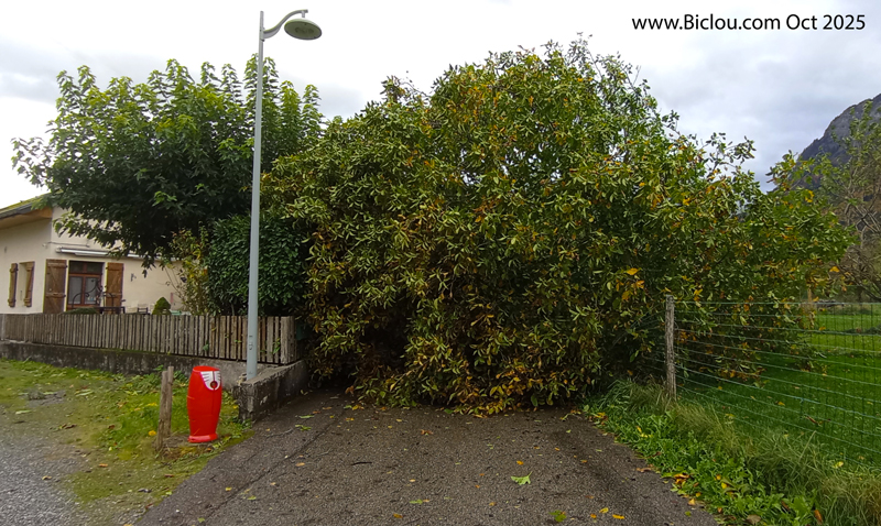 carte-circuit-faverges-col-epine