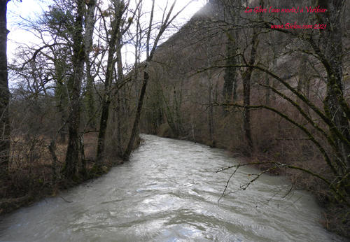 L-eau-morte-a-Verthier-Doussardtitle=L-eau-morte-a-Verthier-Doussard
