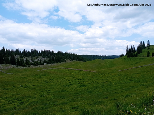 combe-des-amburnex