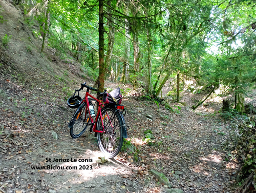Renato-le-vlo-de-claudio-dans-les-bois-de-saint-jorioz