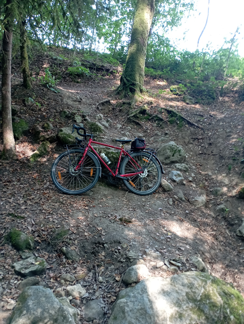 Renato-le-vlo-de-claudio-dans-les-bois-de-saint-jorioz
