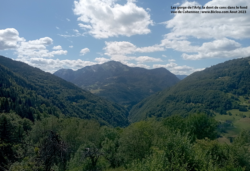 Gorges-de-L-arly-la-dent-de-cons-vus-du-Cohennoz Gorges-de-L-arly-la-dent-de-cons-vus-du-Cohennoz