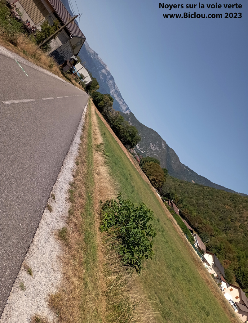 Pousses-de-Npyers-sur-Voie-verte-Annecy-Faverge Pousses-de-Npyers-sur-Voie-verte-Annecy-Faverge