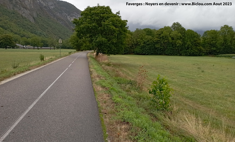 Faverges-pousses-de-noyers-long-de-voie-verte