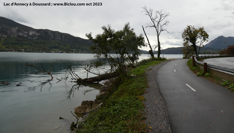 Arbre-mort-abattu-par-le-vent-angon-2023