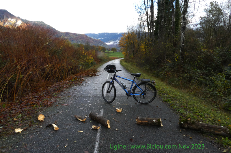 Arbres-sur-Voie-verte-Soney-Ugine