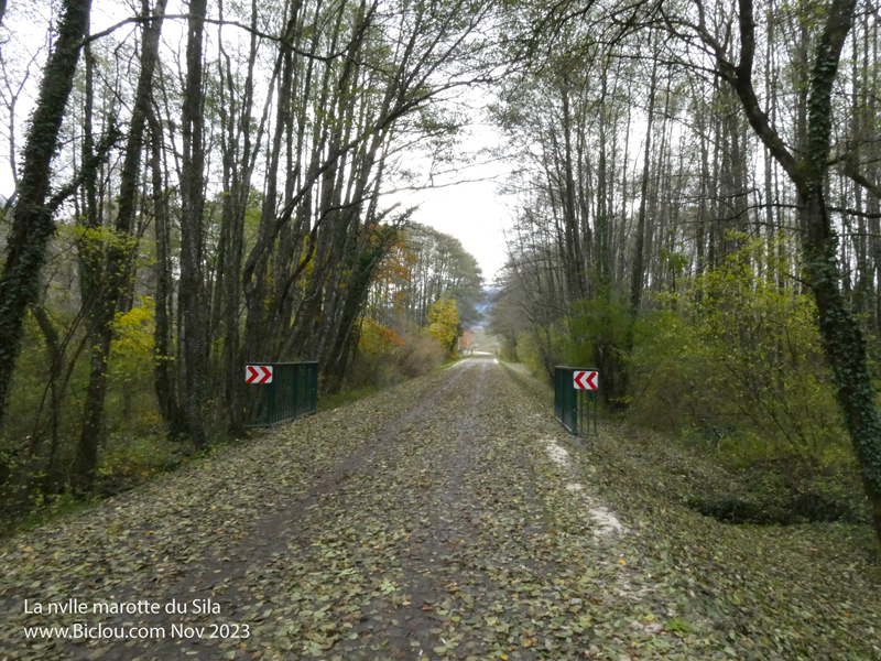 Marotte-du-SILA-pancartes-partout-et-les