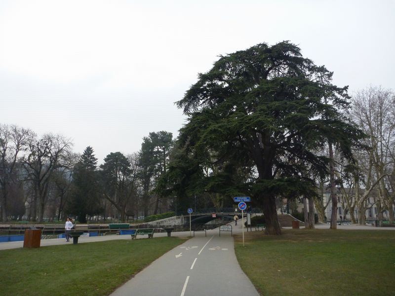 Le beau cdre du pont des Amours  Annecy : vu de la pelouse du pquier en 2010