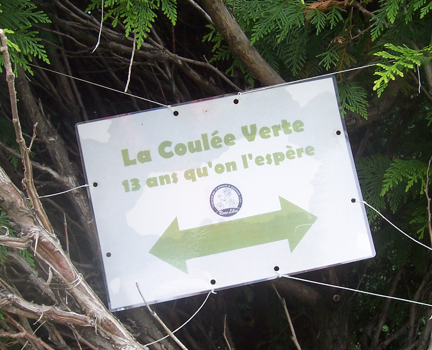 La-coulee-verte-albert