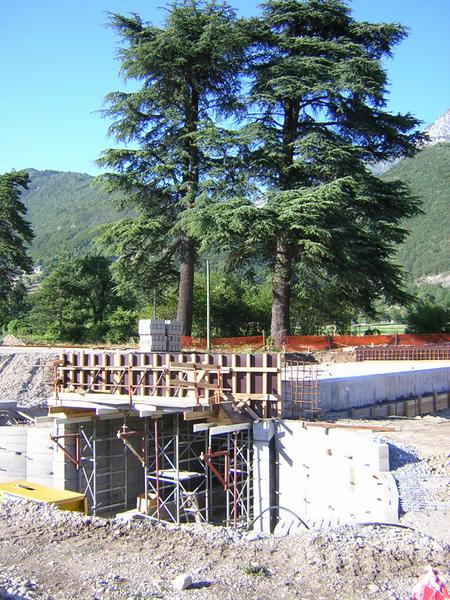 sequoia faverges