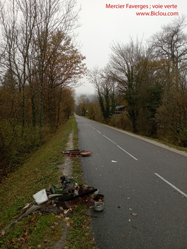 Faverges-detritus-bordure-voie-verte