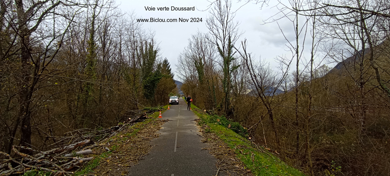 Doussard-2024-novembre-arbres-casss