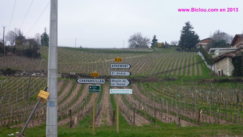 Dans les vignes d'Apremont, balisage vélo Saint André - Chambéry
